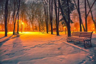 Winter park banklar ile akşam karla kaplı. Kış akşam central Park'ta.