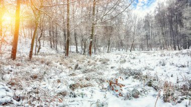 Şehir Parkı karla kaplı kurtçukları. Ayaz akşam