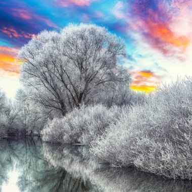Kış orman günbatımı nehir üzerinde. Karlı ağaçları ile panoramik manzara güzel donmuş nehir su yansıması ile güneş. 