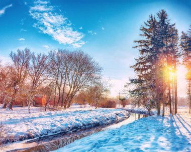 Güneş ışığı, kışın ağaçların arasından tatili. Bol karlı.