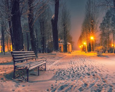 Winter park banklar ile akşam karla kaplı. Kış akşam central Park'ta.
