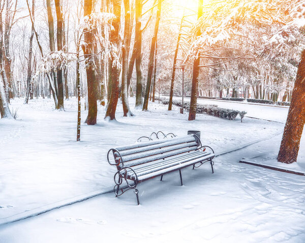 Park bench and trees covered by heavy snow. Lots of snow. Sunset time
