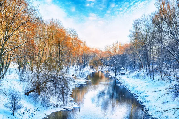 Vista Panorámica Del Río Árboles Cubiertos Nieve — Foto de Stock