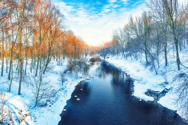 Vista Panorâmica Rio Árvores Cobertas Neve — Fotografia de Stock