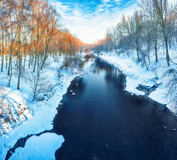 Vacker Utsikt Över Floden Och Träd Täckt Snö — Stockfoto