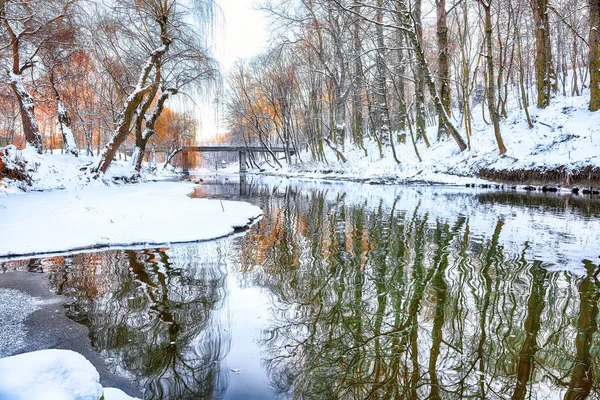川と雪に覆われた木の風光明媚なビュー ストック画像