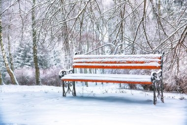 Park bankında ve tarafından ağır kar kaplı ağaçlar. Bol karlı Şehir Parkı