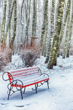 Park bankında ve tarafından ağır kar kaplı ağaçlar. Bol karlı Şehir Parkı.