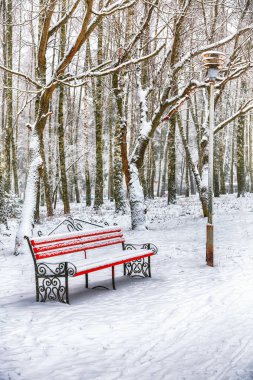 Park bankında ve tarafından ağır kar kaplı ağaçlar. Bir sürü şehir parkı karda. Kar fırtınası