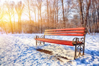 Park bankları ve ağaçlar yoğun karla kaplı. Çok kar var. Gün batımı