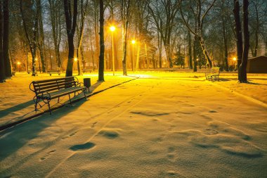 Winter park banklar ile akşam karla kaplı. Kış akşam central Park'ta.