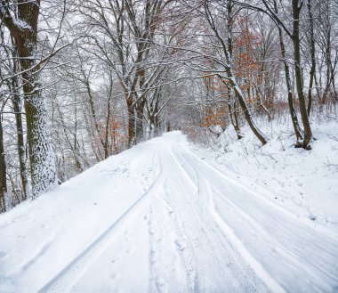 Sessizlik ormandaki bir kış yolda. Bol karlı kış zamanında
