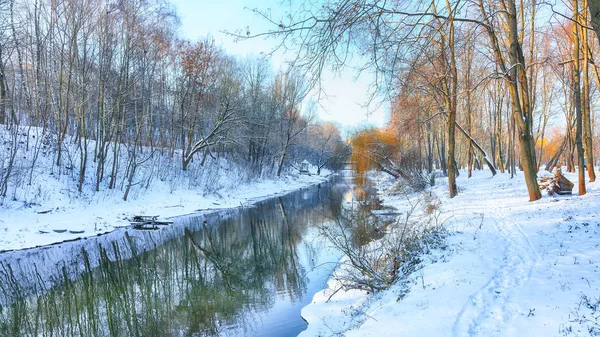 Vista Panorámica Del Río Árboles Cubiertos Nieve — Foto de Stock