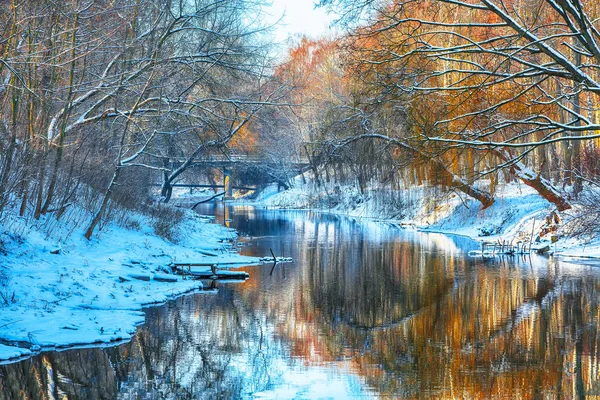 Красивый Вид Реку Деревья Покрытые Снегом — стоковое фото