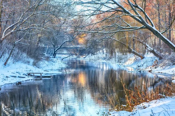 Vista Panorámica Del Río Árboles Cubiertos Nieve — Foto de Stock