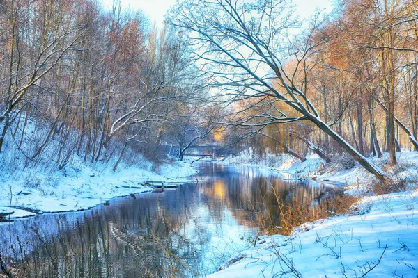 Vista Panorâmica Rio Árvores Cobertas Neve — Fotografia de Stock