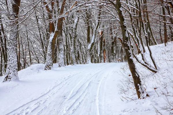 Silêncio Uma Estrada Inverno Floresta Muita Neve Inverno — Fotografia de Stock
