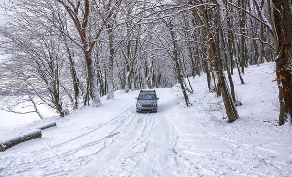 Enda Bilen Vinterväg Skogen Massor Snö Vintern — Stockfoto