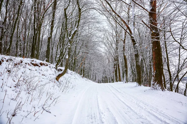 Silêncio Uma Estrada Inverno Floresta Muita Neve Inverno — Fotografia de Stock