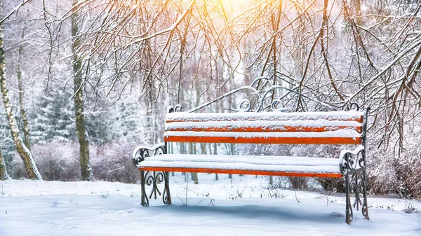 Parkbänke Und Bäume Die Von Starkem Schnee Bedeckt Sind Viel — Stockfoto