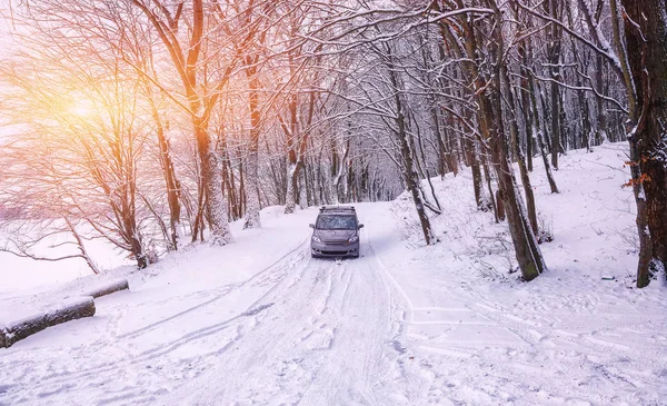 Enda Bilen Vinterväg Skogen Massor Snö Solnedgången — Stockfoto