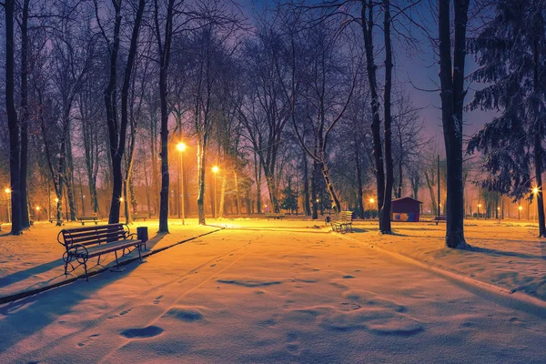 Winter park banklar ile akşam karla kaplı. Kış akşam central Park'ta.