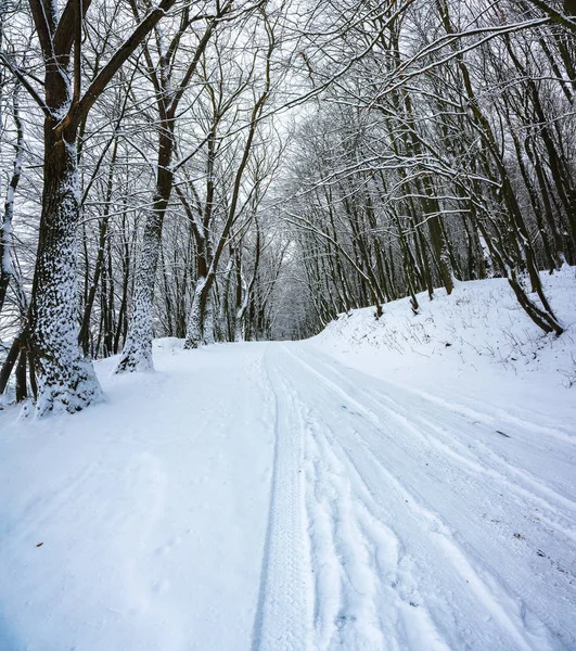 Silêncio Uma Estrada Inverno Floresta Muita Neve Inverno — Fotografia de Stock