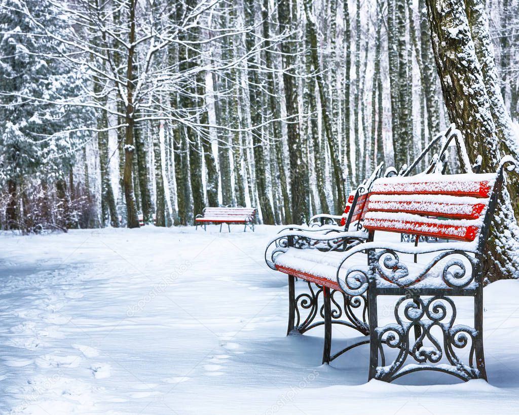 Park bench and trees covered by heavy snow. Lots of snow in city park.