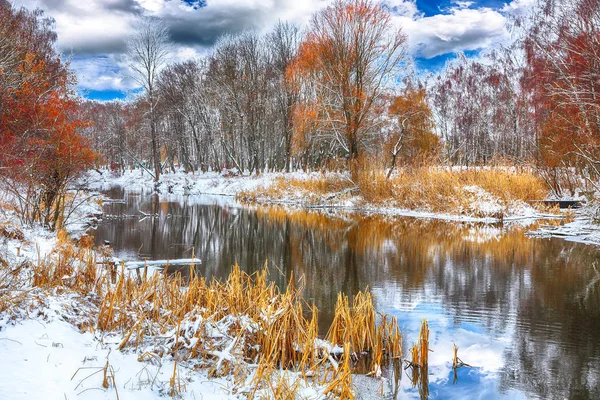 Vista Panorâmica Rio Árvores Cobertas Neve — Fotografia de Stock