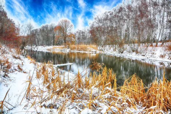 Vista Panorámica Del Río Árboles Cubiertos Nieve — Foto de Stock