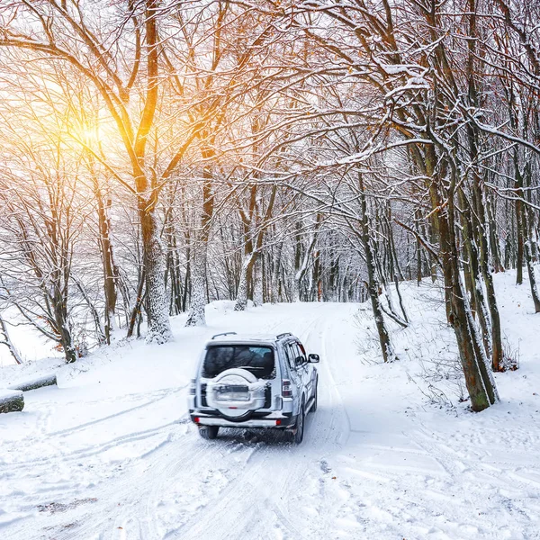 Enda Bilen Vinterväg Skogen Massor Snö Solnedgången — Stockfoto