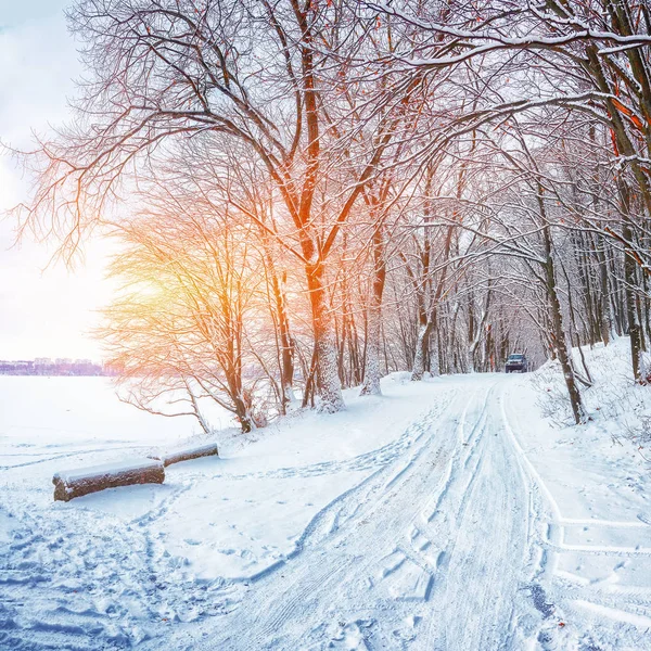 Carro Único Uma Estrada Inverno Floresta Muita Neve Pôr Sol — Fotografia de Stock
