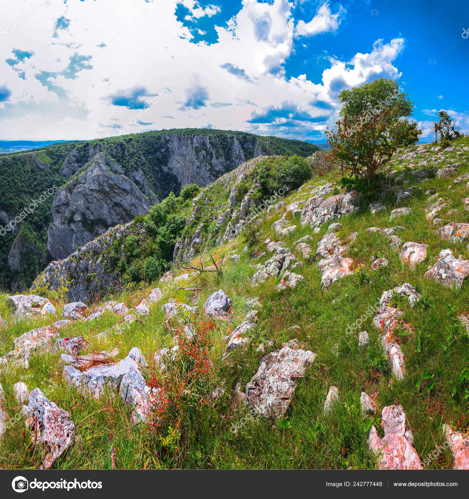 Turda Gorge Cheile Turzii Natural Reserve Marked Trails Hikes Hasdate Stock Photo C Pilat666