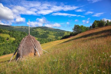 Güzel kırsal manzara ormanlık tepeler ve dağlar çimenli kırsal alan haystacks ile. Sahnede Rogojel köy Cluj County, Romanya, Europe