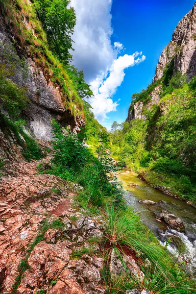 Turda Gorge Cheile Turzii Ett Naturreservat Med Markerade Leder För — Stockfoto