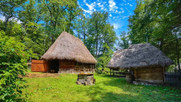 Fantastica Scena Estiva Transilvania Veduta Delle Tradizionali Case Contadine Rumene — Foto Stock