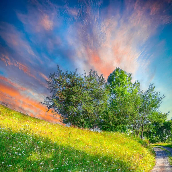 Majestuoso Paisaje Rural Con Colinas Boscosas Prados Herbosos Las Montañas —  Fotos de Stock