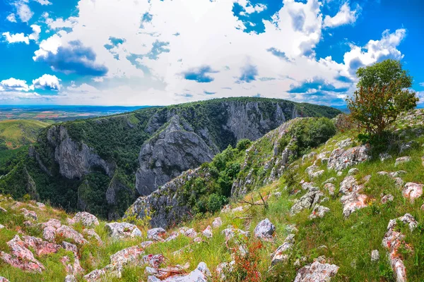 Turda Ущелье Cheile Turzii Является Природным Заповедником Заметными Тропы Походов — стоковое фото