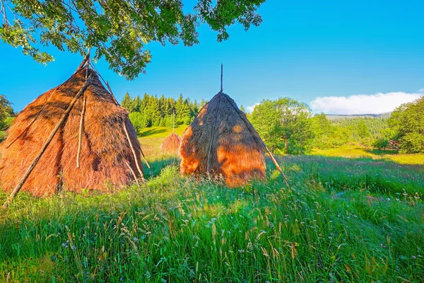 Prachtige Natuur Landschap Met Beboste Heuvels Hooibergen Een Met Gras — Stockfoto