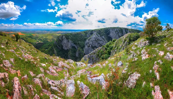 Turda Desfiladeiro Cheile Turzii Uma Reserva Natural Com Trilhas Marcadas — Fotografia de Stock