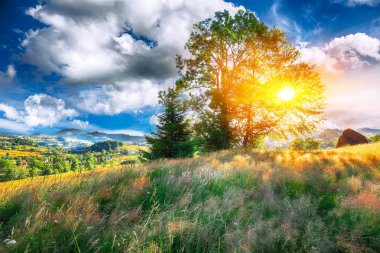 Güzel kırsal manzara ormanlık tepeler ve dağlar çimenli kırsal alan haystacks ile. Sahnede Rogojel köy Cluj County, Romanya, Europe