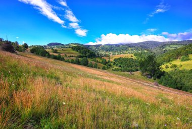 Güzel kırsal manzara ormanlık tepeler ve dağlar çimenli kırsal alan haystacks ile. Sahnede Rogojel köy Cluj County, Romanya, Europe