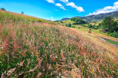 Güzel kırsal manzara ormanlık tepeler ve dağlar çimenli kırsal alan haystacks ile. Sahnede Rogojel köy Cluj County, Romanya, Europe