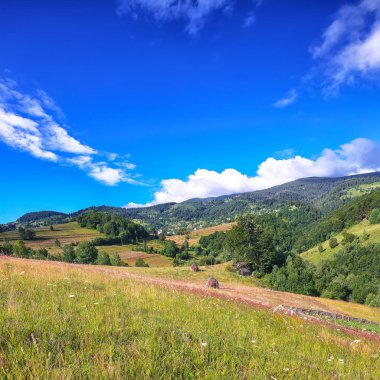 Güzel kırsal manzara ormanlık tepeler ve dağlar çimenli kırsal alan haystacks ile. Sahnede Rogojel köy Cluj County, Romanya, Europe