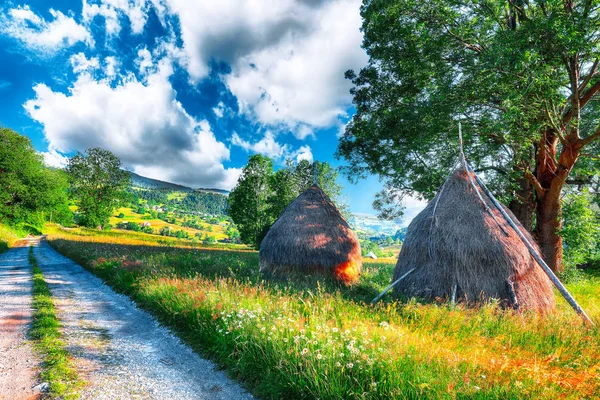 산에서 분야에 더미와 풍경입니다 카운티 루마니아 유럽의 Rogojel 마에서 — 스톡 사진
