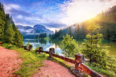 Majestic yaz dağ gölü Lacul Rosu veya Red Lake ya da katil göl manzarası. Çürümüş ağaç gövdeleri. Günlükleri sudan geliyor. Harghita İlçesi, Doğu Karpatlar, Romanya, Europe