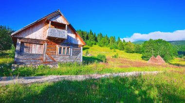 Güzel kırsal manzara ormanlık tepeler ve dağlar çimenli kırsal alan haystacks ile. Sahnede Rogojel köy Cluj County, Romanya, Europe