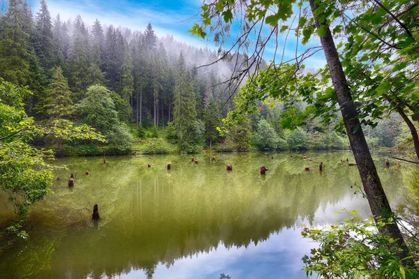 Majestic Vista Estiva Del Lago Montagna Lacul Rosu Red Lake — Foto Stock