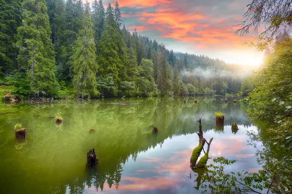 Majestic Yaz Dağ Gölü Lacul Rosu Veya Red Lake Katil — Stok fotoğraf