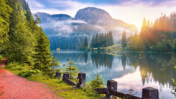 Majestic yaz dağ gölü Lacul Rosu veya Red Lake ya da katil göl manzarası. Çürümüş ağaç gövdeleri. Günlükleri sudan geliyor. Harghita İlçesi, Doğu Karpatlar, Romanya, Europe
